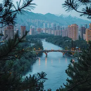 梁咏琪大学经历简介